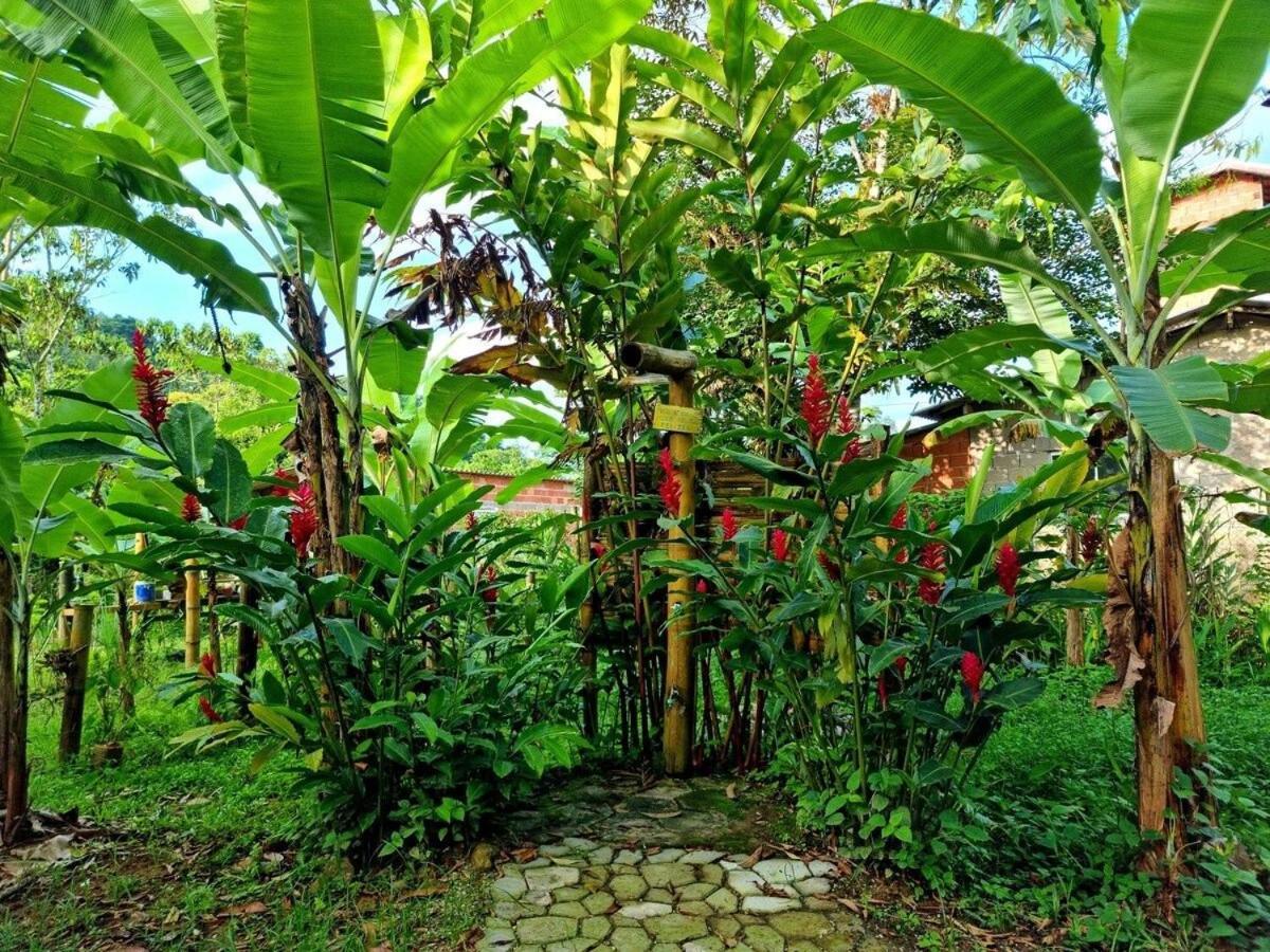 Cambuca Surf Skate Villa Ubatuba Dış mekan fotoğraf