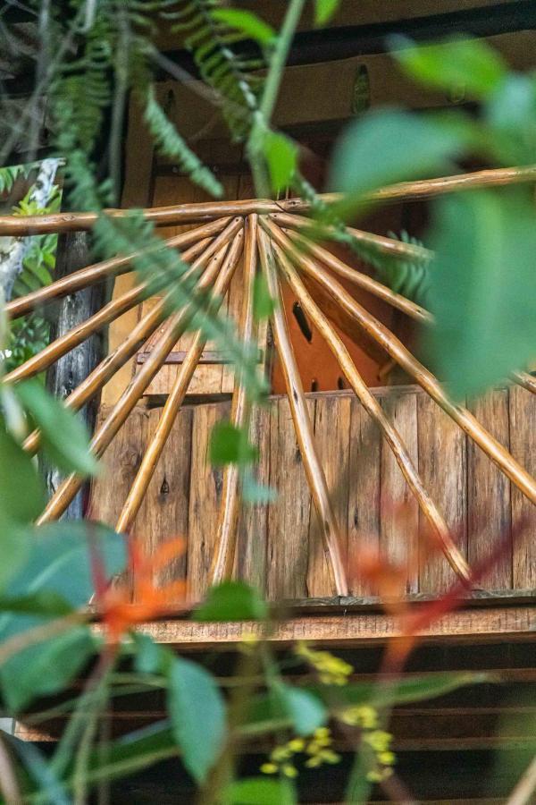 Cambuca Surf Skate Villa Ubatuba Dış mekan fotoğraf