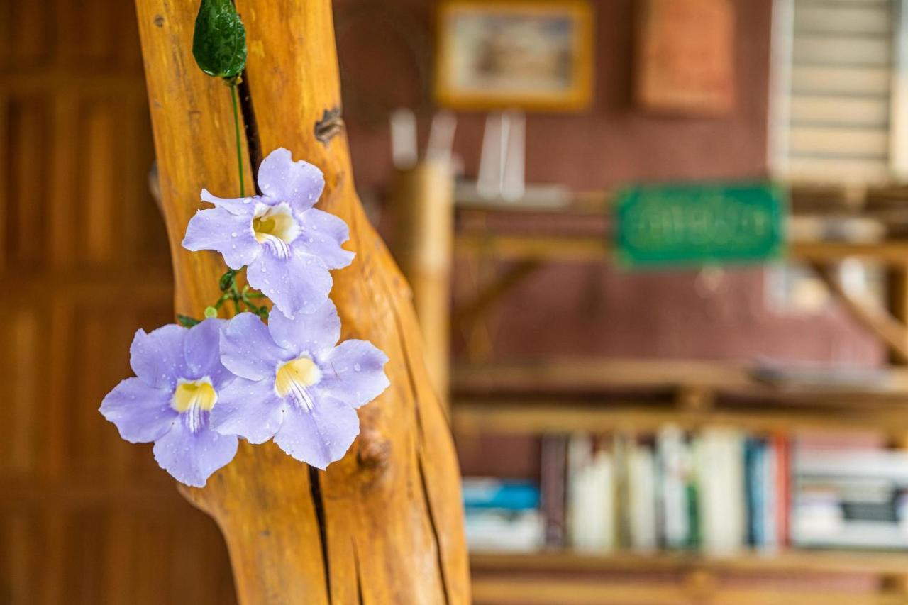 Cambuca Surf Skate Villa Ubatuba Dış mekan fotoğraf
